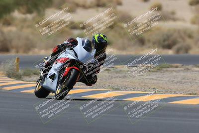 media/May-14-2023-SoCal Trackdays (Sun) [[024eb53b40]]/Turn 5 Tree of Life (1125am)/